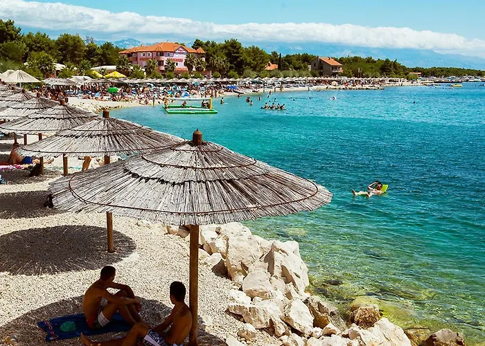 Edith's Olive Garden * Vir