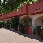 Edith's Olive Garden *