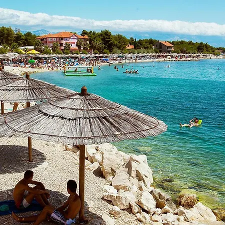 Edith's Olive Garden * Vir